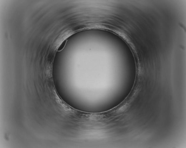 X0000101680905200807171408