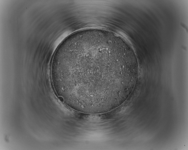 X0000101680907200807171408