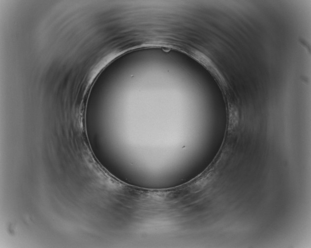 X0000101680908200807171408