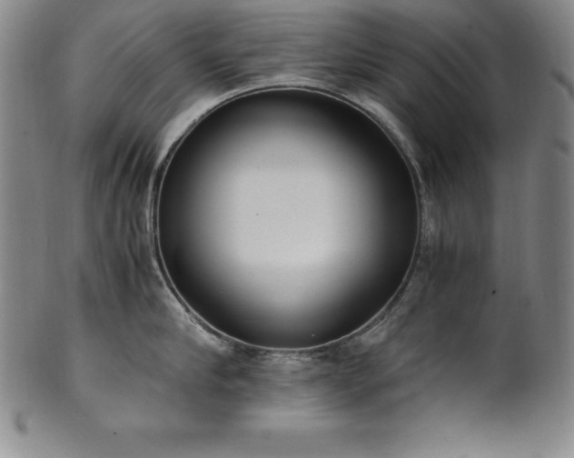 X0000101680910200807171408