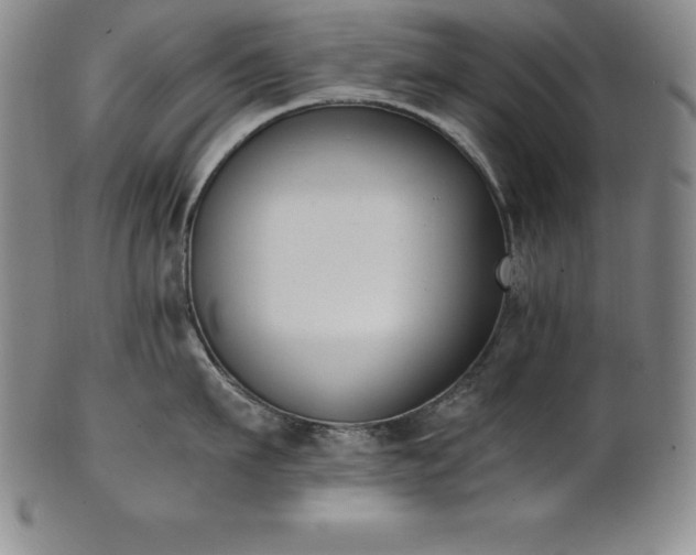 X0000101680911200807171408