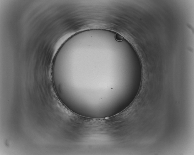 X0000101680912200807171408