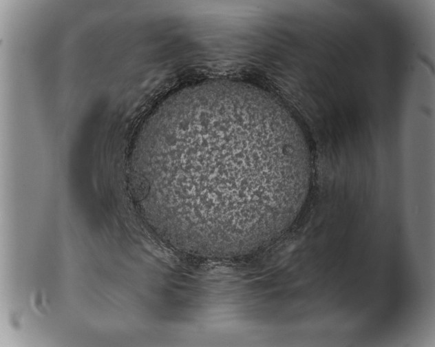 X0000101680913200807171408