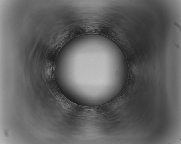 X0000101680914200807171408