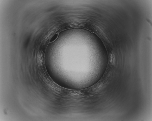 X0000101680915200807171408