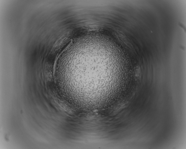 X0000101680916200807171408