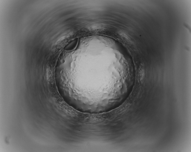 X0000101680917200807171408