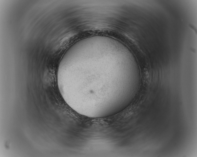 X0000101680918200807171408