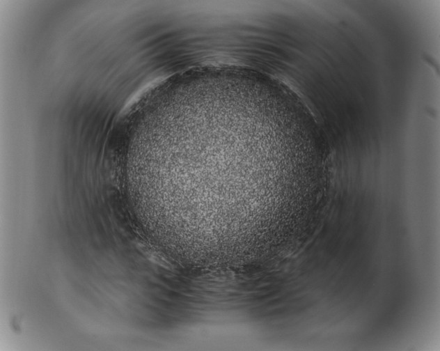 X0000101680919200807171408