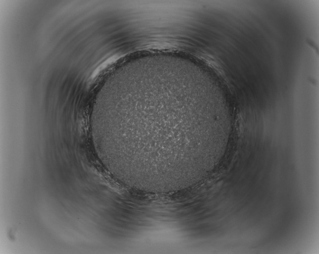 X0000101680920200807171408