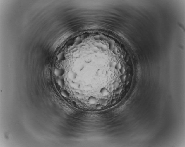 X0000101680921200807171408