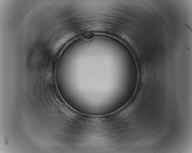 X0000101680922200807171408