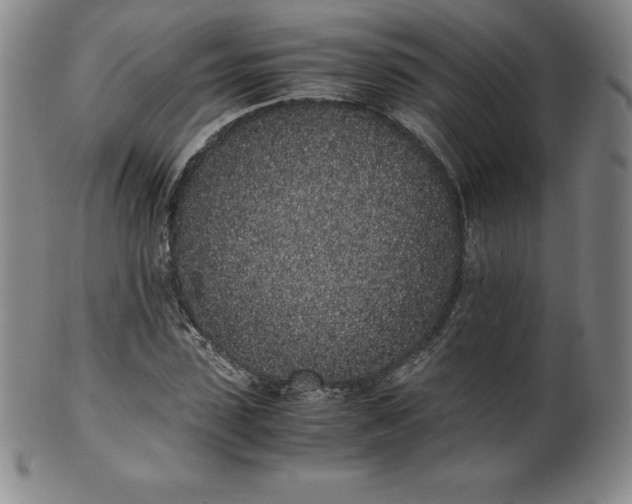 X0000101680923200807171408