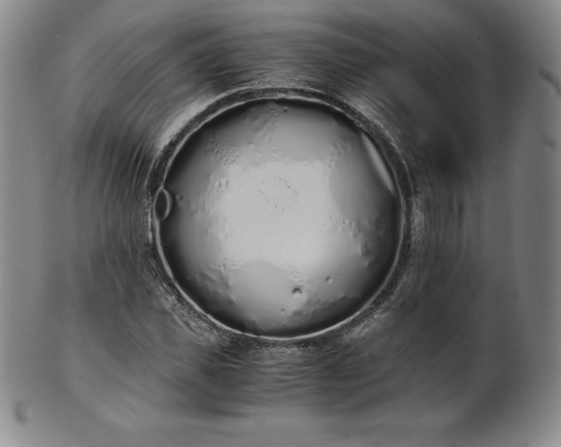 X0000101680925200807171408