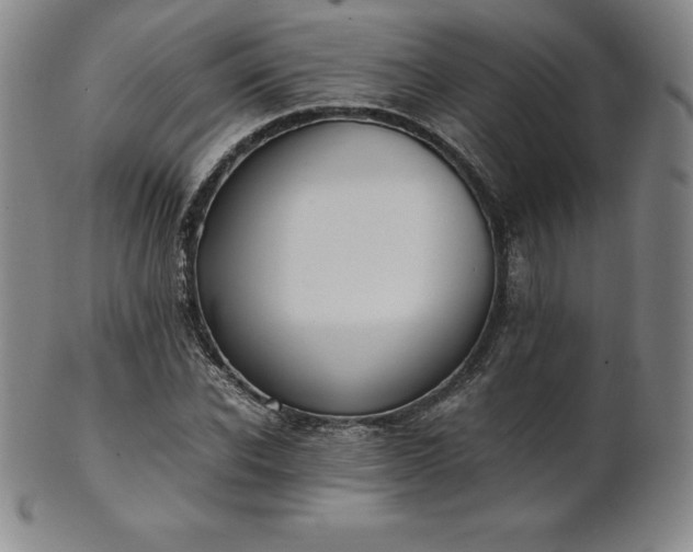 X0000101680926200807171408