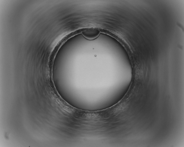 X0000101680927200807171408