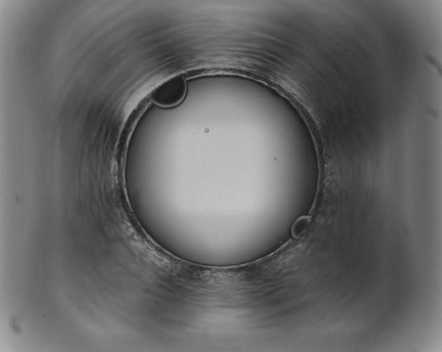 X0000101680928200807171408