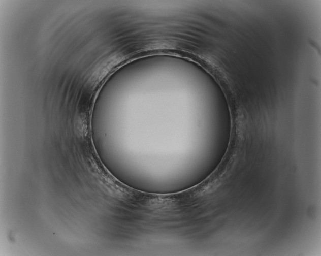 X0000101680929200807171408