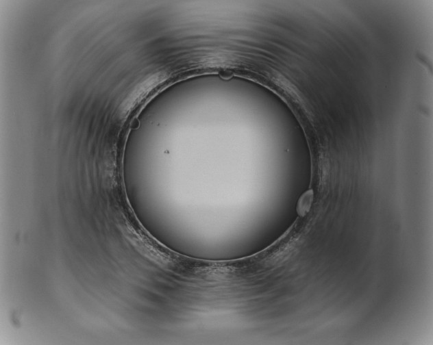 X0000101680930200807171408