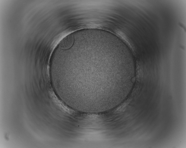 X0000101680932200807171408