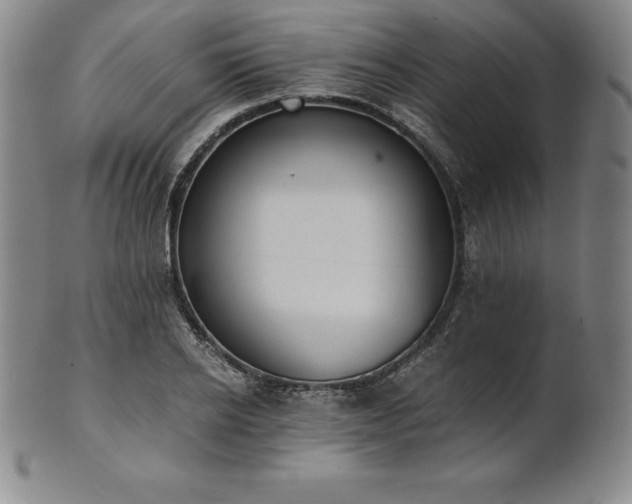 X0000101680934200807171408