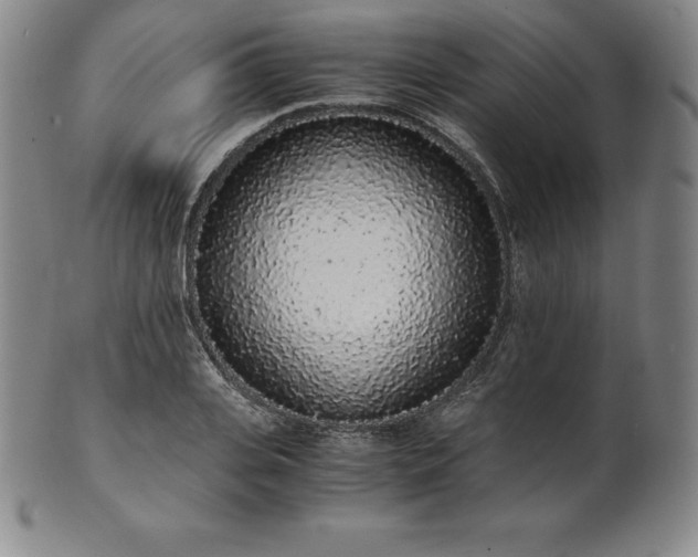 X0000101680935200807171408