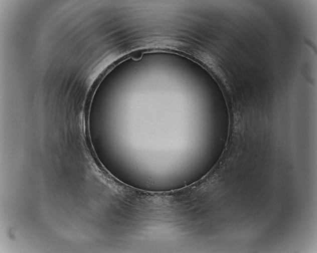 X0000101680936200807171408