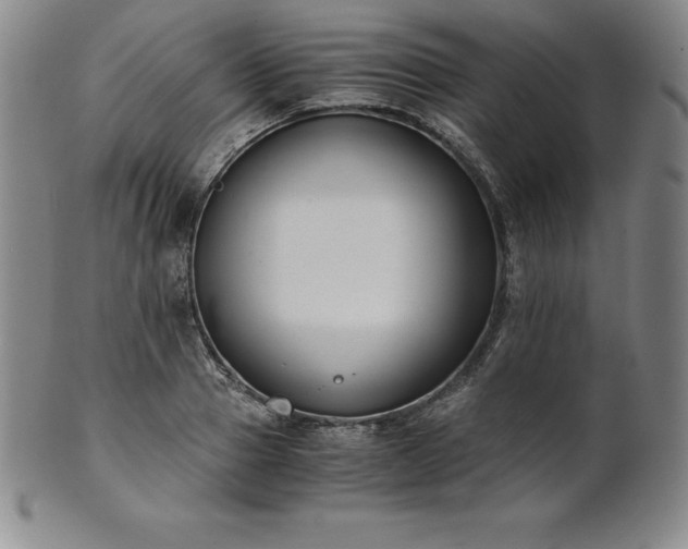 X0000101680937200807171408