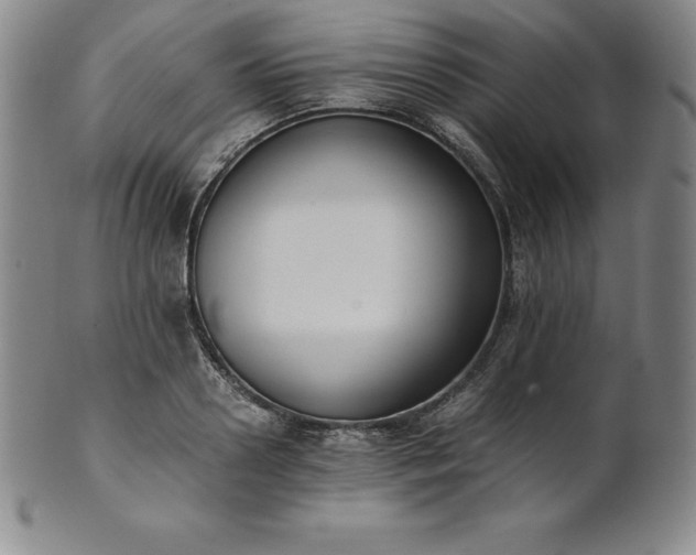 X0000101680938200807171408