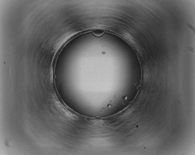 X0000101680940200807171408