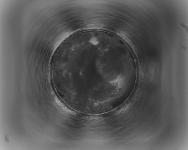 X0000101680941200807171408