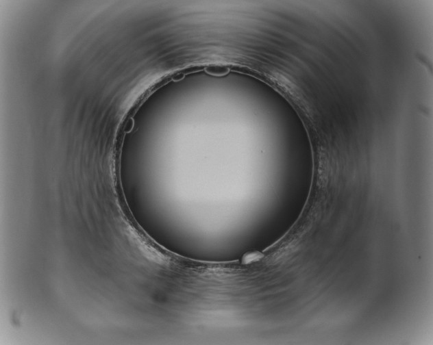 X0000101680942200807171408