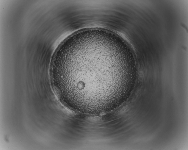 X0000101680943200807171408