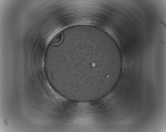 X0000101680944200807171408