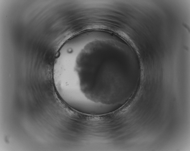 X0000101680945200807171408