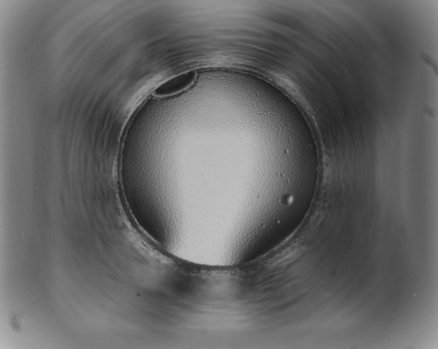 X0000101680946200807171408