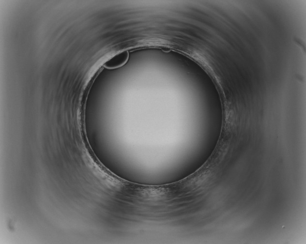 X0000101680947200807171408