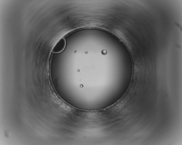 X0000101680948200807171408