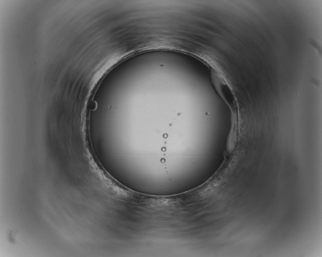 X0000101680949200807171408