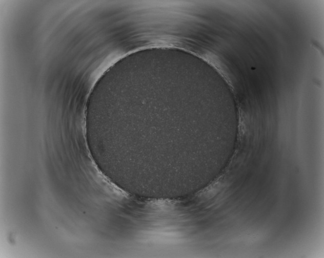 X0000101680950200807171408