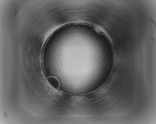 X0000101680951200807171408