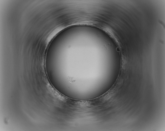 X0000101680952200807171408