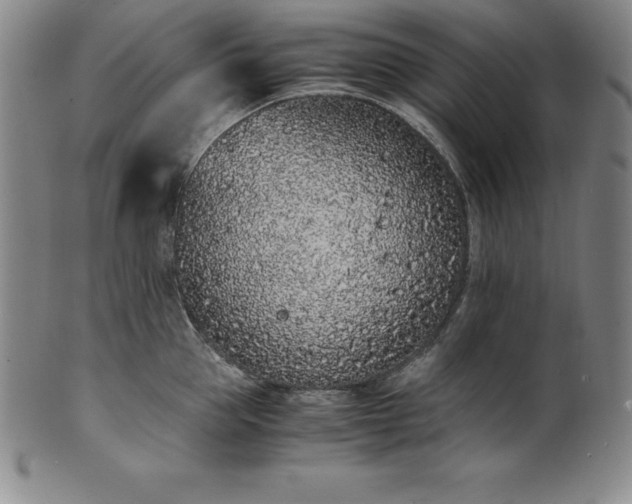 X0000101680953200807171408