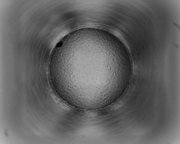 X0000101680954200807171408