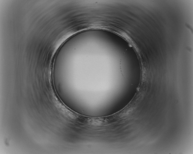 X0000101680955200807171408