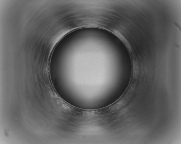 X0000101680956200807171408