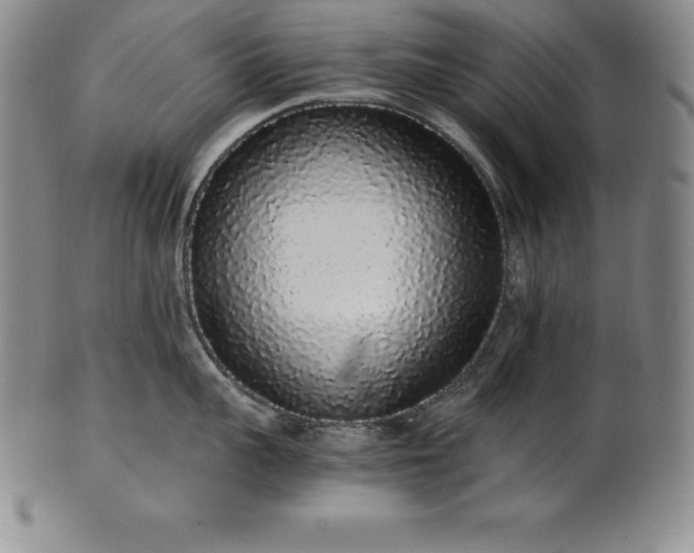 X0000101680959200807171408