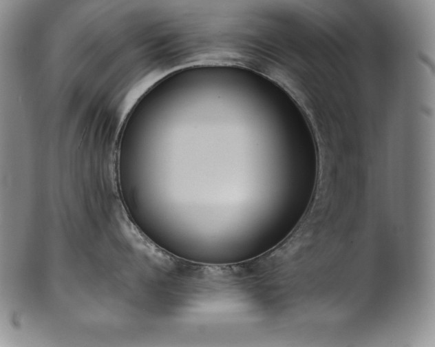 X0000101680960200807171408