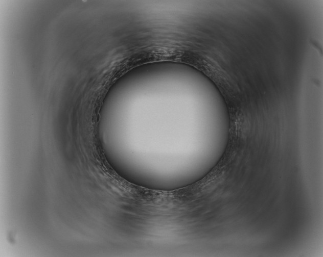 X0000101680961200807171408