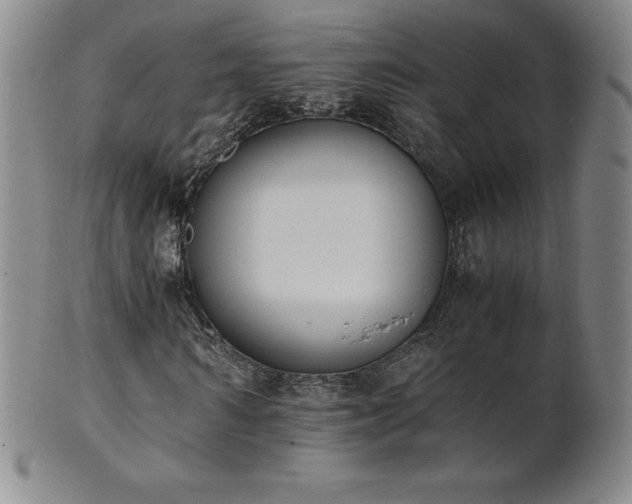 X0000101680962200807171408